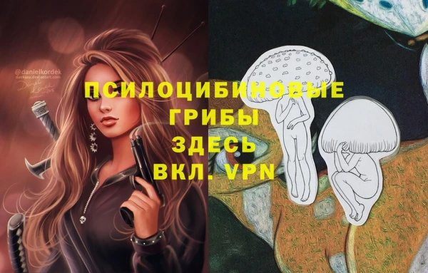 гашиш Елизово