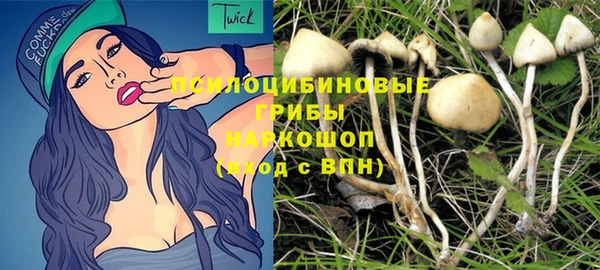 герыч Елабуга