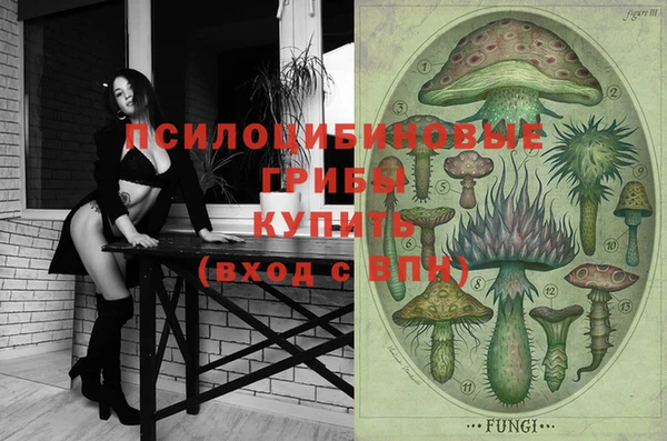 ПСИЛОЦИБИНОВЫЕ ГРИБЫ Алзамай