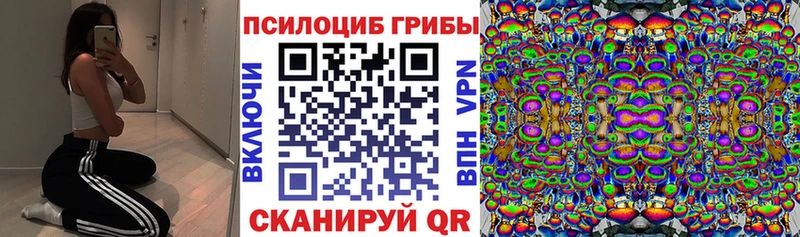 Псилоцибиновые грибы Cubensis  Калач 